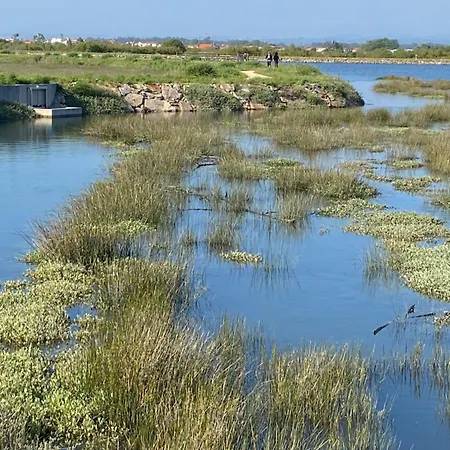 Apart. Dunas Da 公寓 托雷拉